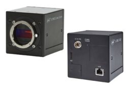 SW-8000T-10GE